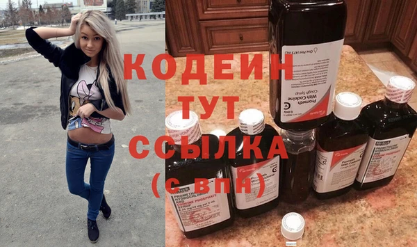 мдпв Михайлов