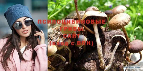 мдпв Михайлов