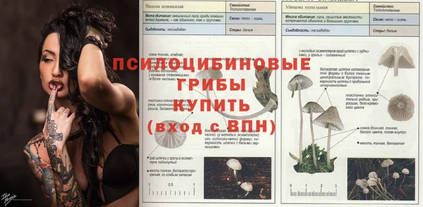 PSILOCYBIN Михайловка