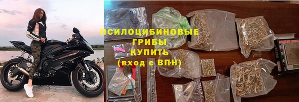 мдпв Михайлов
